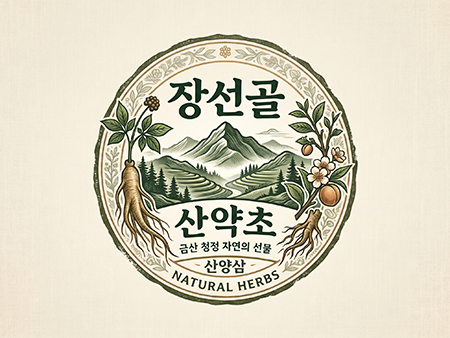 장선골 산약초 귀한 산양삼